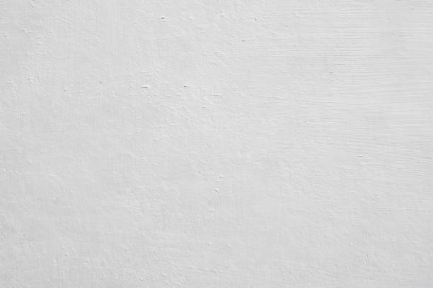 Best Basement Mold Removal  in Southgate, FL